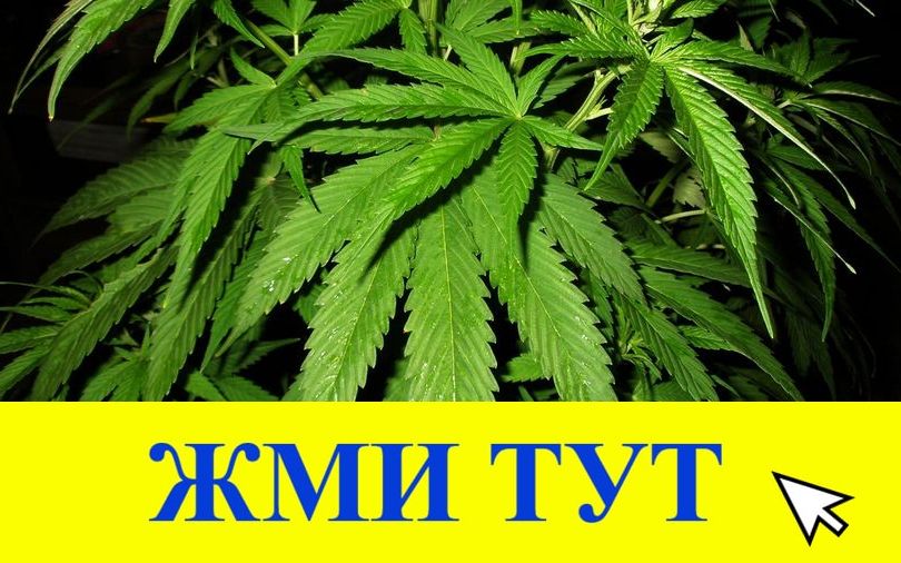 Купить наркотики в Таштаголе